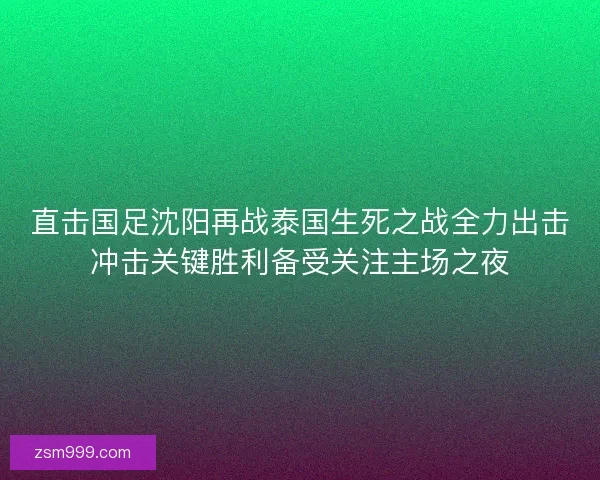 直击国足沈阳再战泰国生死之战全力出击冲击关键胜利备受关注主场之夜