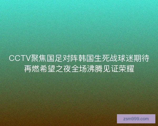 CCTV聚焦国足对阵韩国生死战球迷期待再燃希望之夜全场沸腾见证荣耀